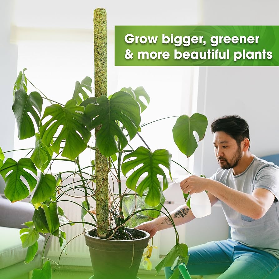 RYO　moss stick PQ60 Amazon.com : 60 Inch Moss Pole for Plants Monstera, Tall